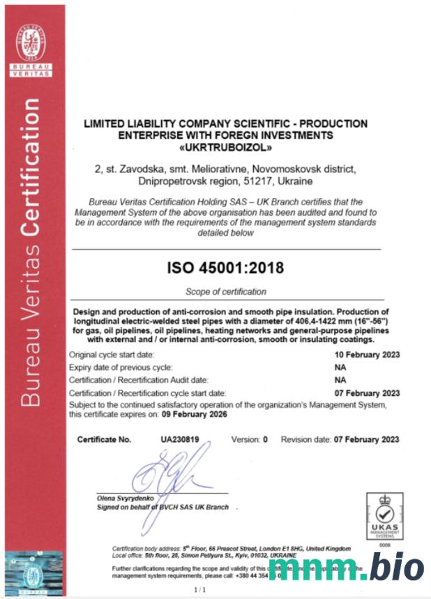 UK Bureau Veritas ceritificate of business registration Word i szablon PDF